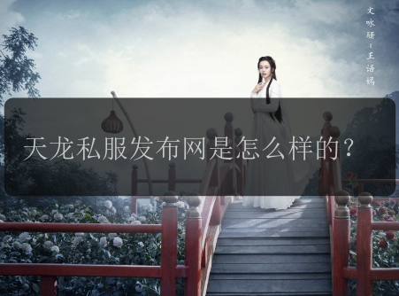 天龙私服发布网是怎么样的？
