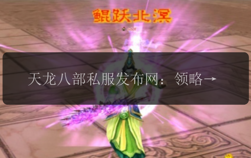 天龙八部私服发布网：领略江湖风云，体验武侠世界！