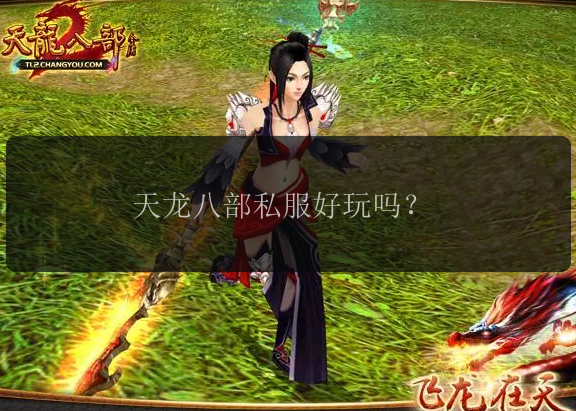 天龙八部私服好玩吗?