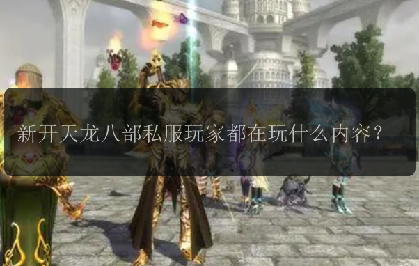 新开天龙八部私服玩家都在玩什么内容?