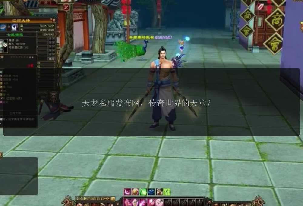 天龙私服发布网，传奇世界的天堂？