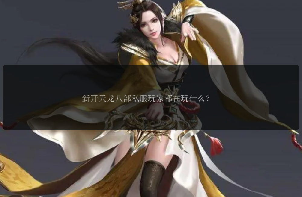 新开天龙八部私服玩家都在玩什么?
