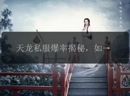 天龙私服爆率揭秘,如何轻松刷出极品装备?